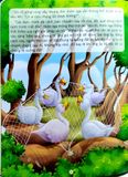  Combo 3 Cuốn Những Câu Chuyện Đạo Đức Đặc Sắc ( Vẹt Và Chuột + Thiên Nga Thông Thái + Chim Và Khỉ ) 