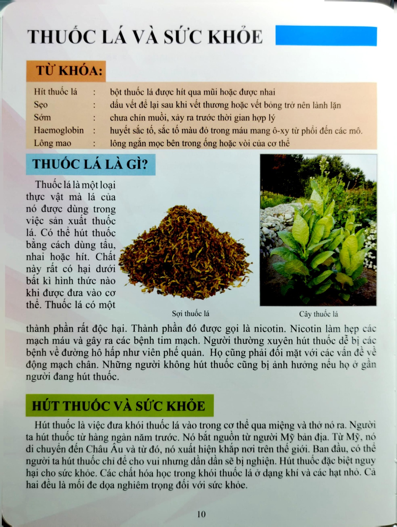 Cơ Thể Của Tôi Hoạt Động Như Thế Nào Sức Khỏe Và Môi Trường - T.R.Bhanot