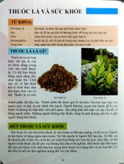 Cơ Thể Của Tôi Hoạt Động Như Thế Nào Sức Khỏe Và Môi Trường - T.R.Bhanot