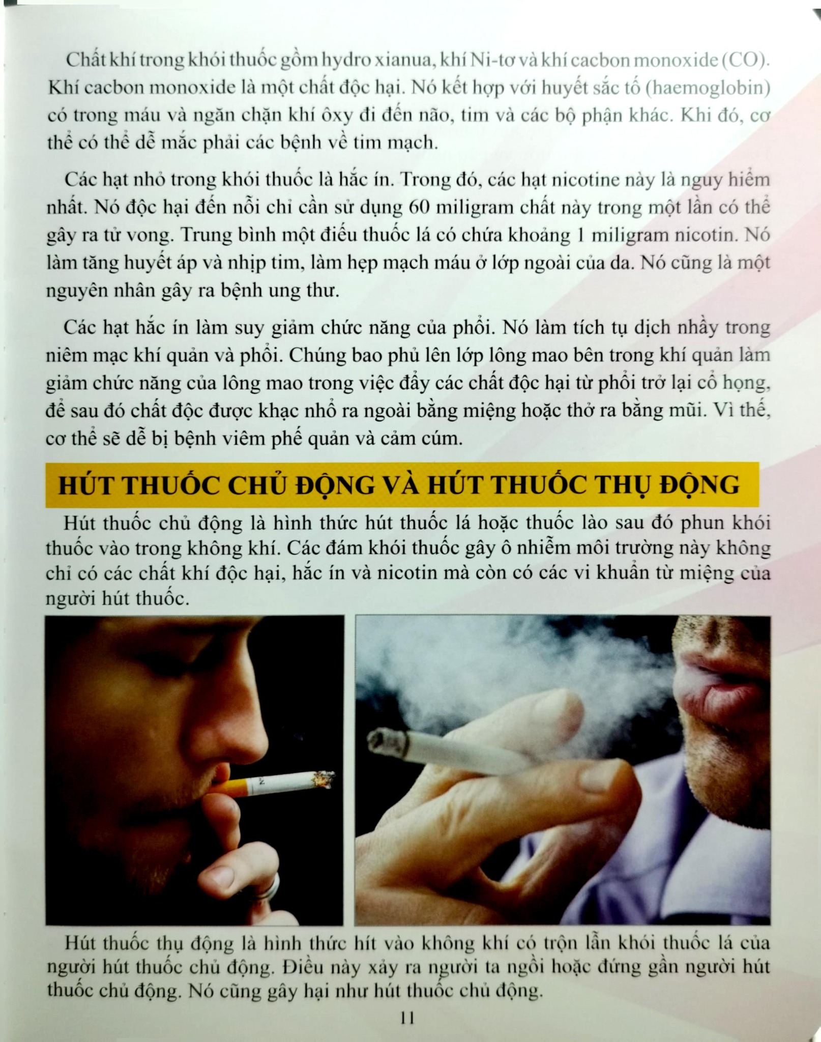 Cơ Thể Của Tôi Hoạt Động Như Thế Nào Sức Khỏe Và Môi Trường - T.R.Bhanot