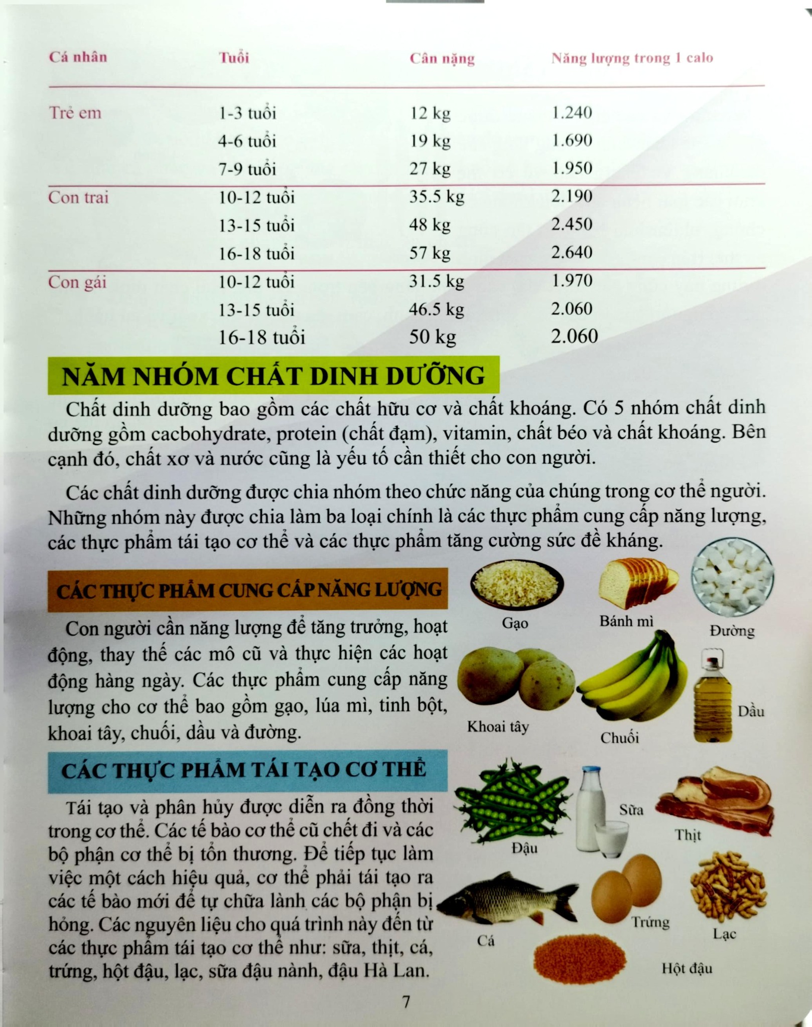 Cơ Thể Của Tôi Hoạt Động Như Thế Nào Sức Khỏe Và Môi Trường - T.R.Bhanot