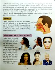 Cơ Thể Của Tôi Hoạt Động Như Thế Nào Mũi Và Lưỡi - T.R.Bhanot