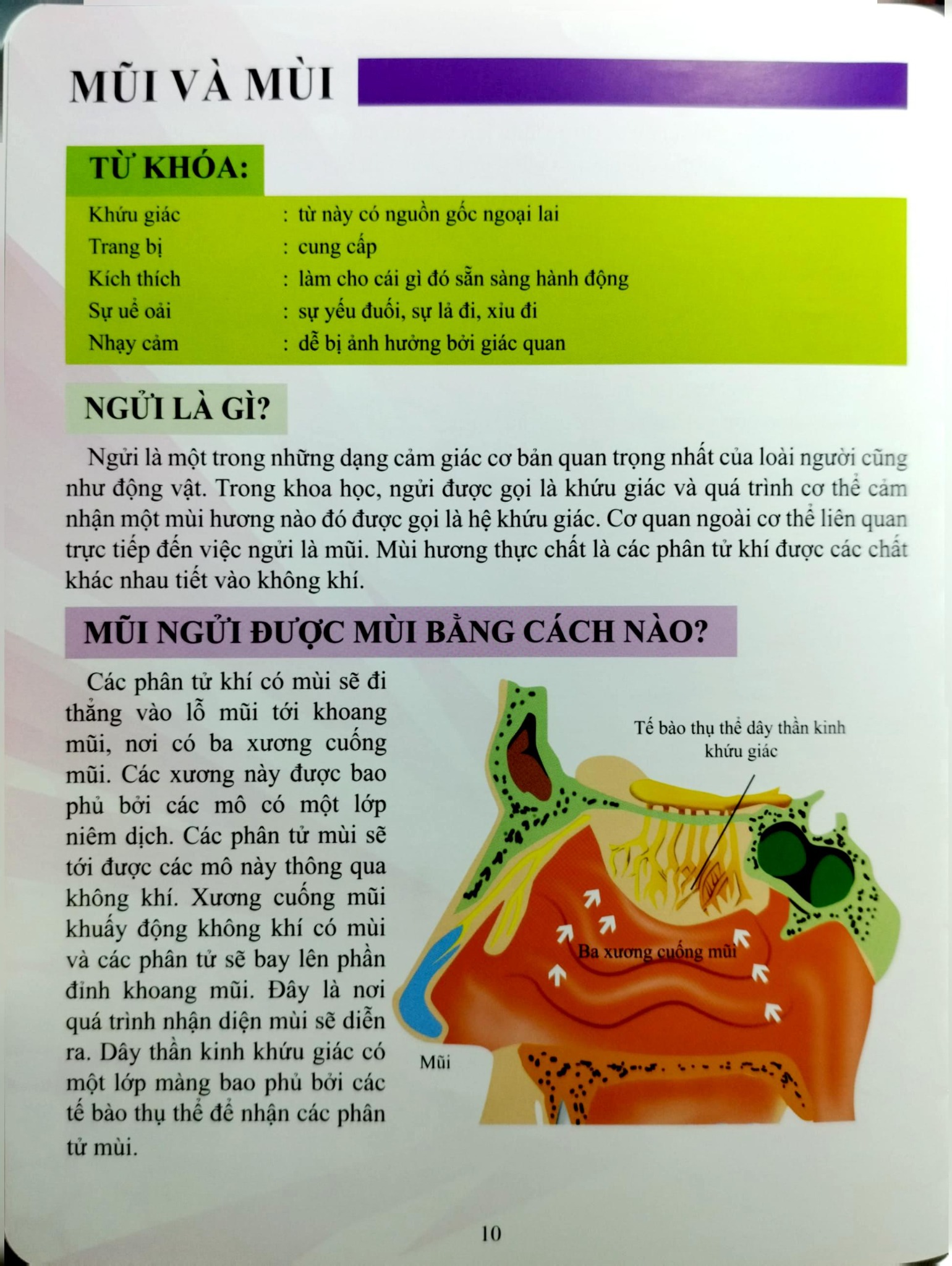 Cơ Thể Của Tôi Hoạt Động Như Thế Nào Mũi Và Lưỡi - T.R.Bhanot