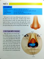Cơ Thể Của Tôi Hoạt Động Như Thế Nào Mũi Và Lưỡi - T.R.Bhanot