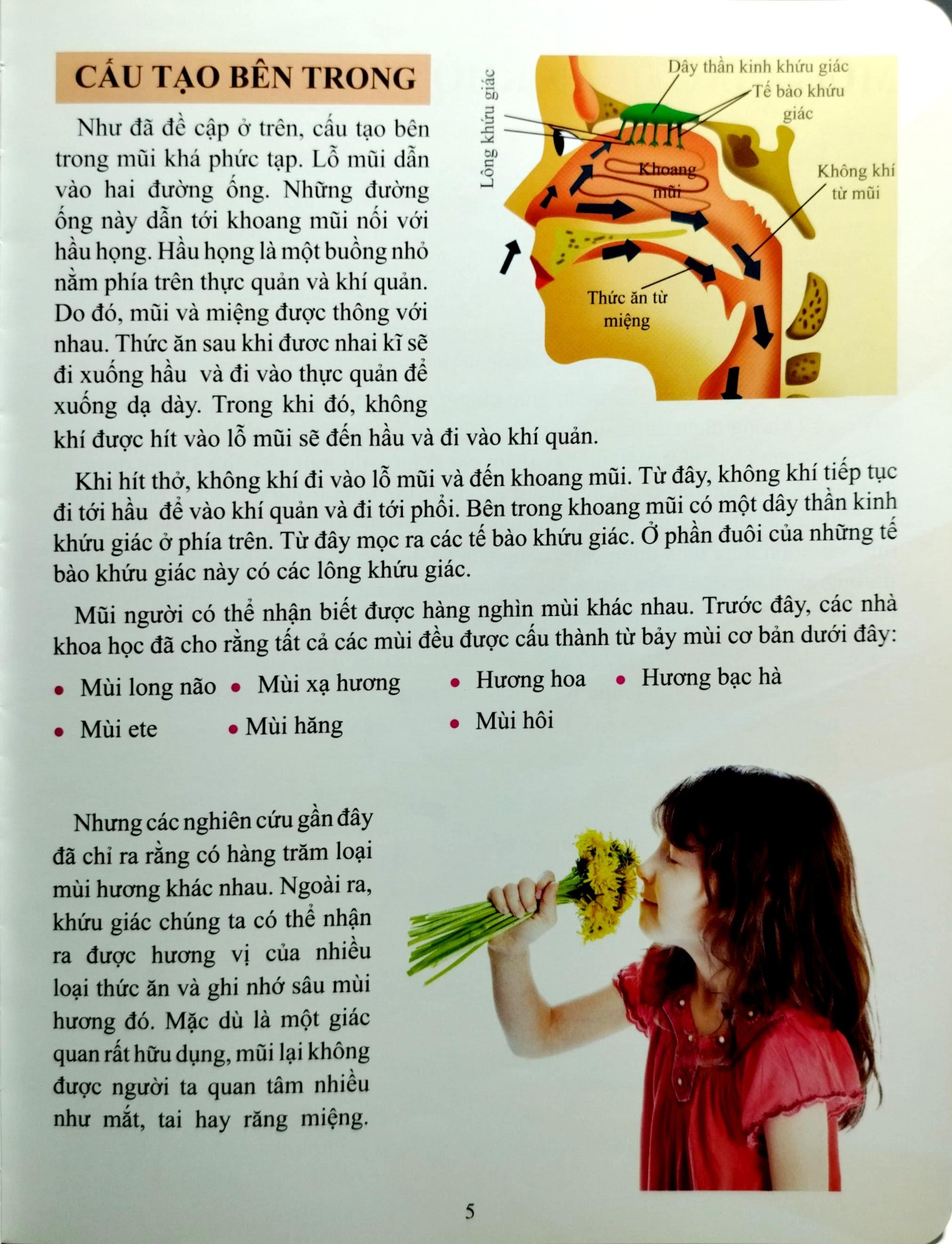 Cơ Thể Của Tôi Hoạt Động Như Thế Nào Mũi Và Lưỡi - T.R.Bhanot