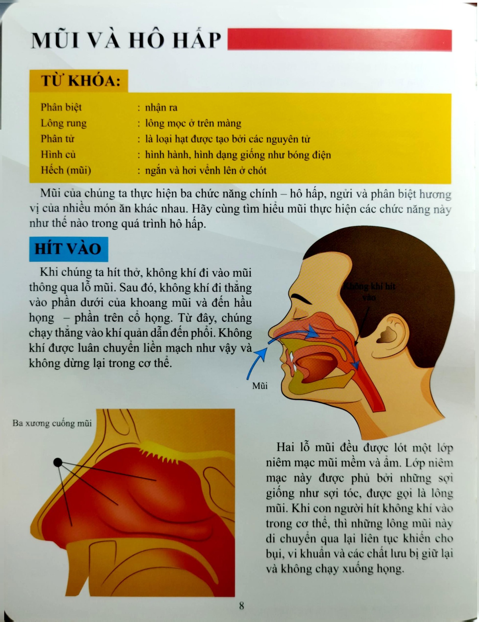 Cơ Thể Của Tôi Hoạt Động Như Thế Nào Mũi Và Lưỡi - T.R.Bhanot