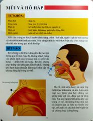 Cơ Thể Của Tôi Hoạt Động Như Thế Nào Mũi Và Lưỡi - T.R.Bhanot