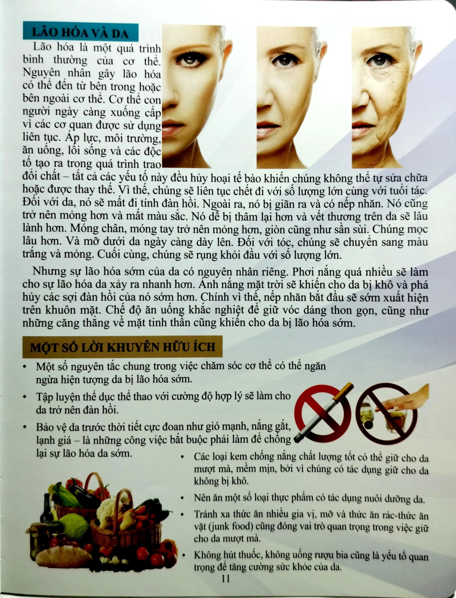 Cơ Thể Của Tôi Hoạt Động Như Thế Nào:- Chăm Sóc Cơ Thể - T.R.Bhanot