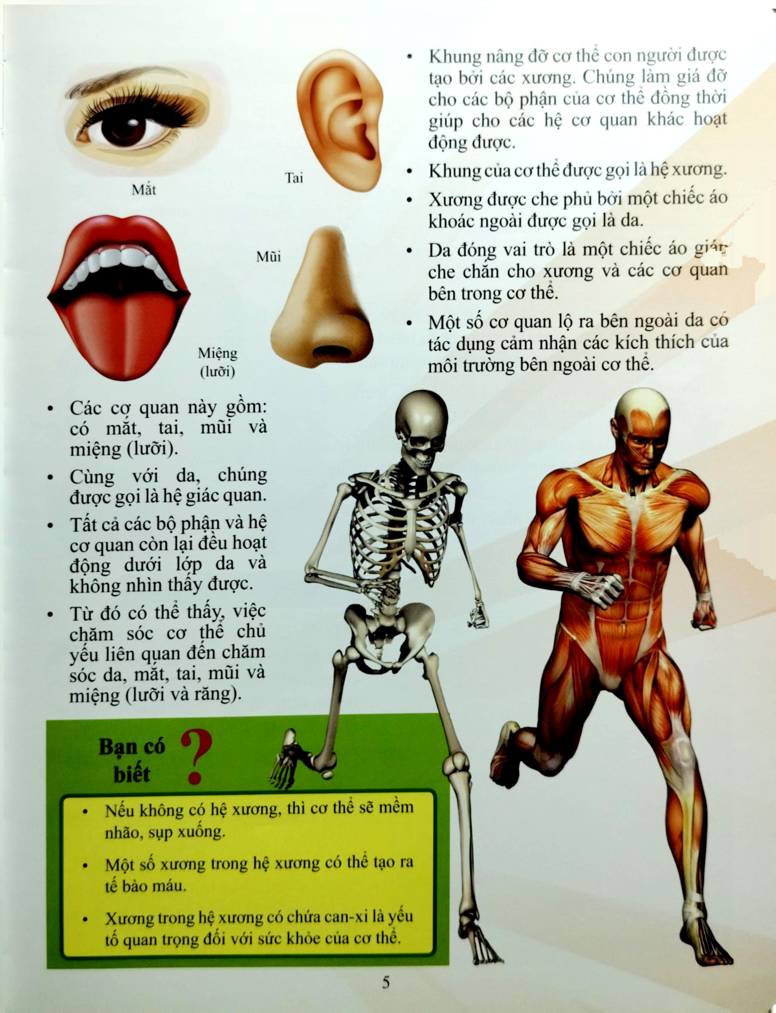 Combo 2 Cuốn Cơ Thể Của Tôi Hoạt Động Như Thế Nào ( Sức Khỏe Tốt + Chăm Sóc Cơ Thể )