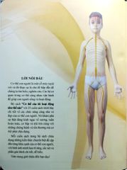 Cơ Thể Của Tôi Hoạt Động Như Thế Nào Tinh Thần - T.R.Bhanot