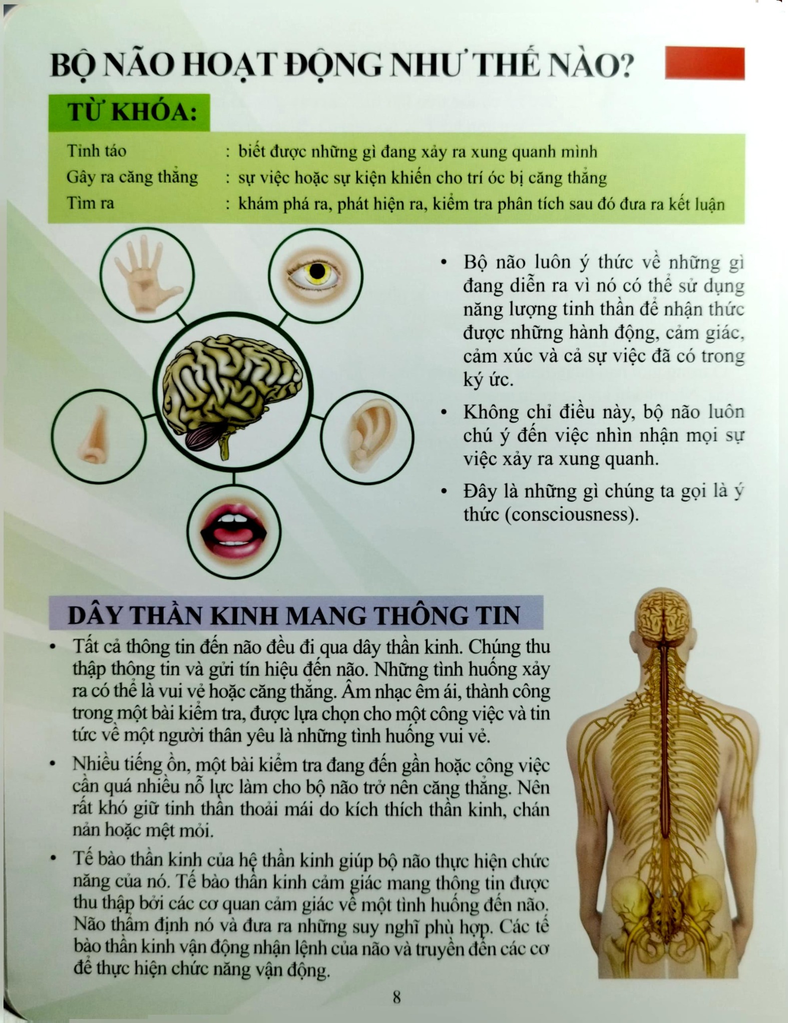 Cơ Thể Của Tôi Hoạt Động Như Thế Nào Tinh Thần - T.R.Bhanot