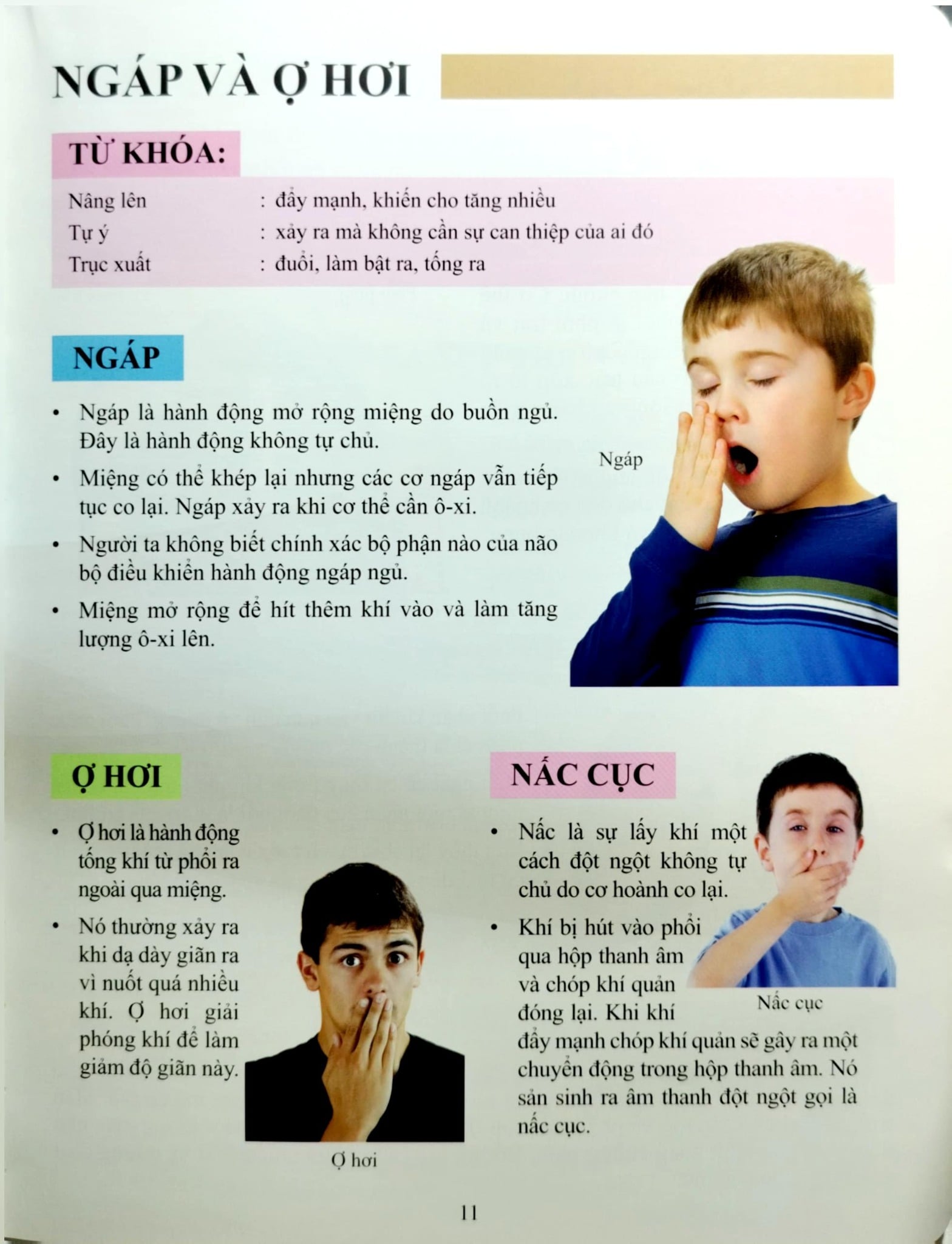 Cơ Thể Của Tôi Hoạt Động Như Thế Nào Hệ Hô Hấp - T.R.Bhanot