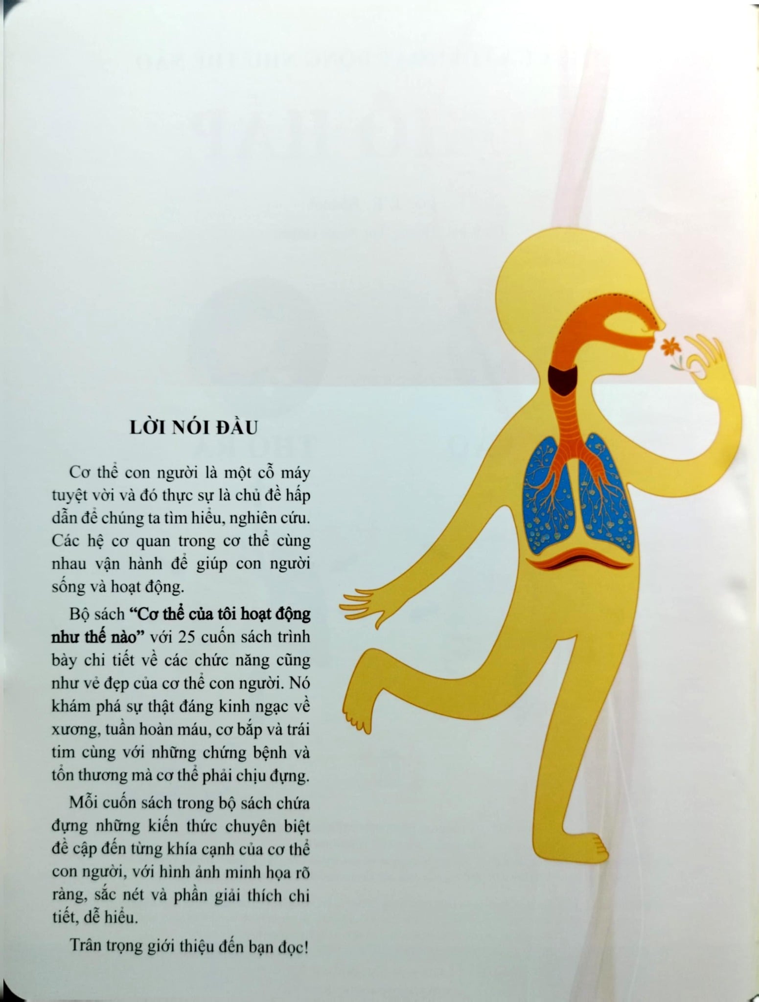 Cơ Thể Của Tôi Hoạt Động Như Thế Nào Hệ Hô Hấp - T.R.Bhanot