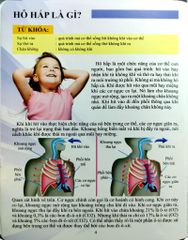 Cơ Thể Của Tôi Hoạt Động Như Thế Nào Hệ Hô Hấp - T.R.Bhanot