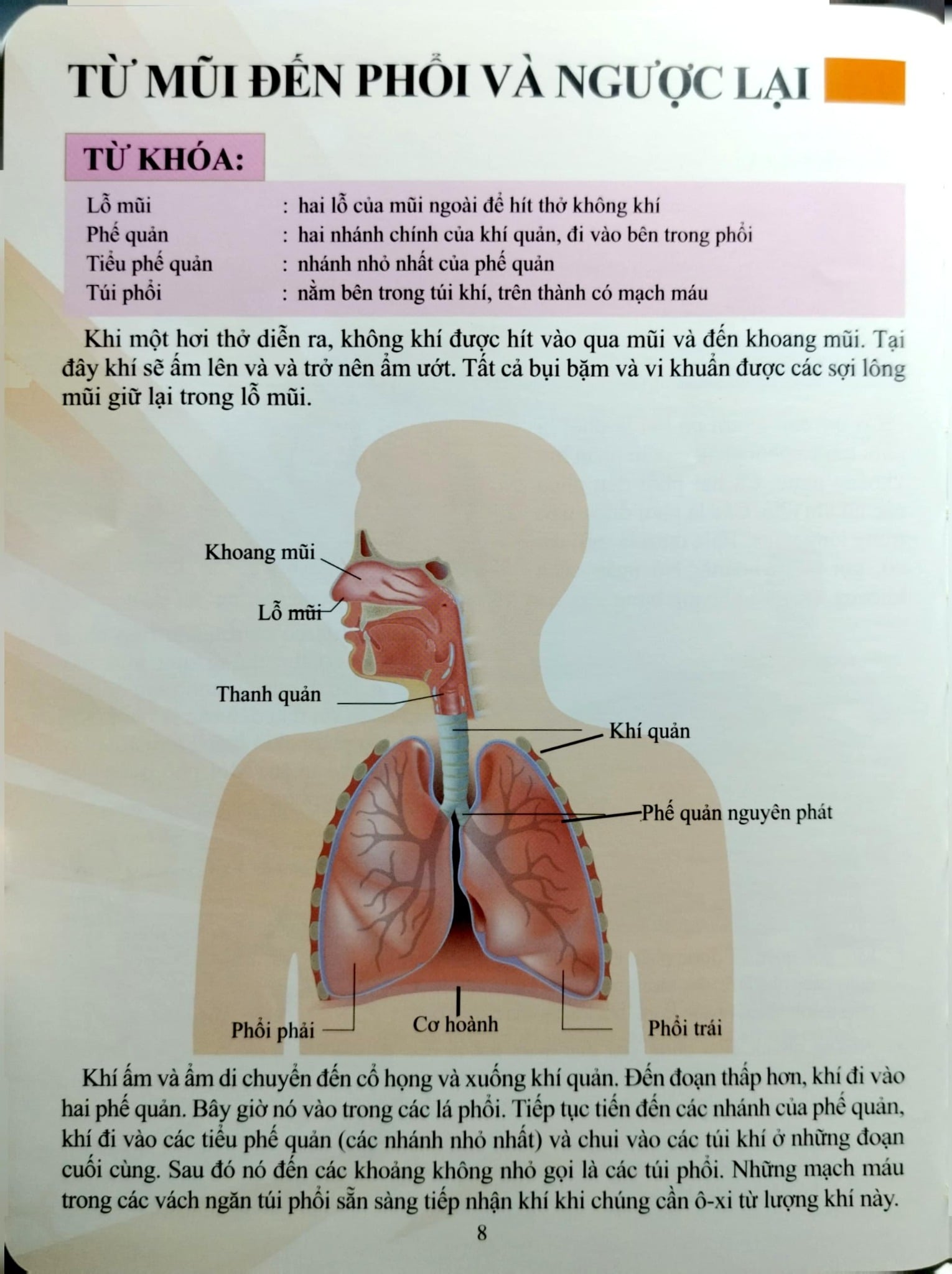 Cơ Thể Của Tôi Hoạt Động Như Thế Nào Hệ Hô Hấp - T.R.Bhanot