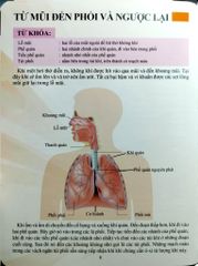 Cơ Thể Của Tôi Hoạt Động Như Thế Nào Hệ Hô Hấp - T.R.Bhanot