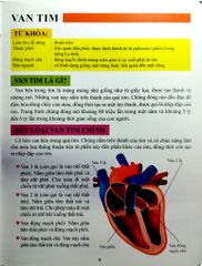 Cơ Thể Của Tôi Hoạt Động Như Thế Nào Tim - T.R.Bhanot