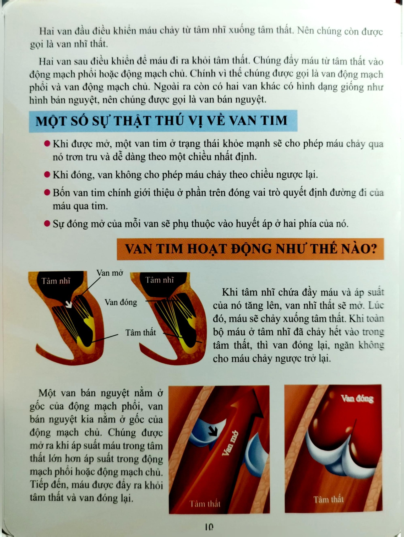 Cơ Thể Của Tôi Hoạt Động Như Thế Nào Tim - T.R.Bhanot