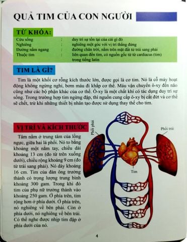  Combo 16 Cuốn Cơ Thể Của Tôi Hoạt Động Như Thế Nào ? 