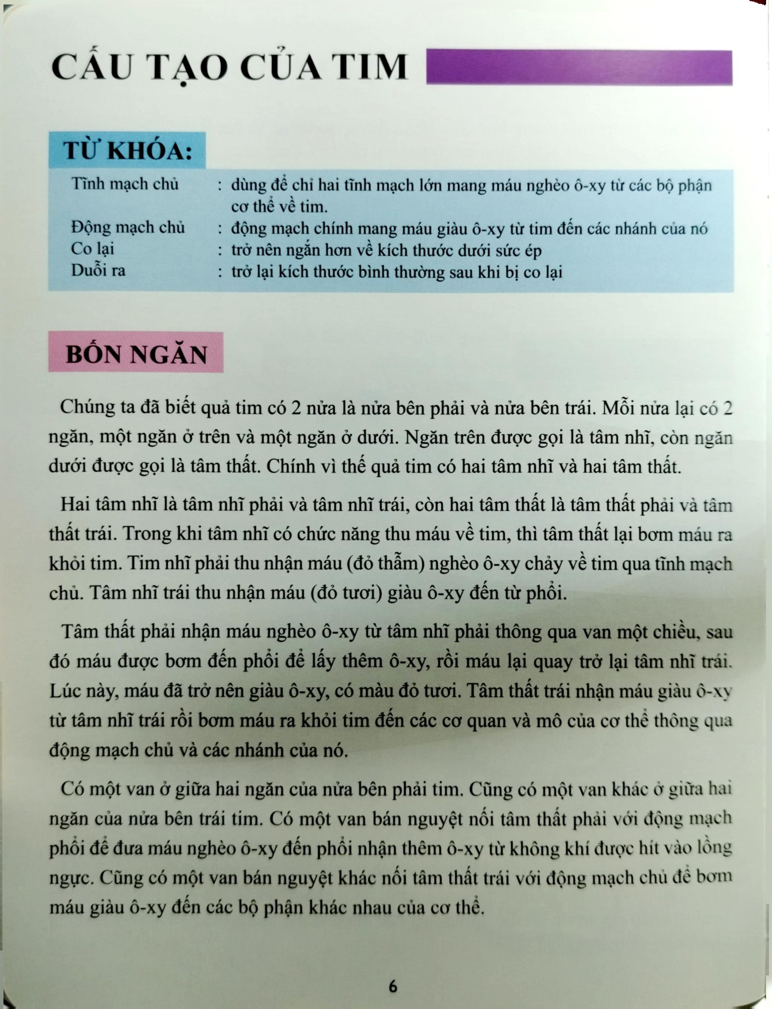 Cơ Thể Của Tôi Hoạt Động Như Thế Nào Tim - T.R.Bhanot