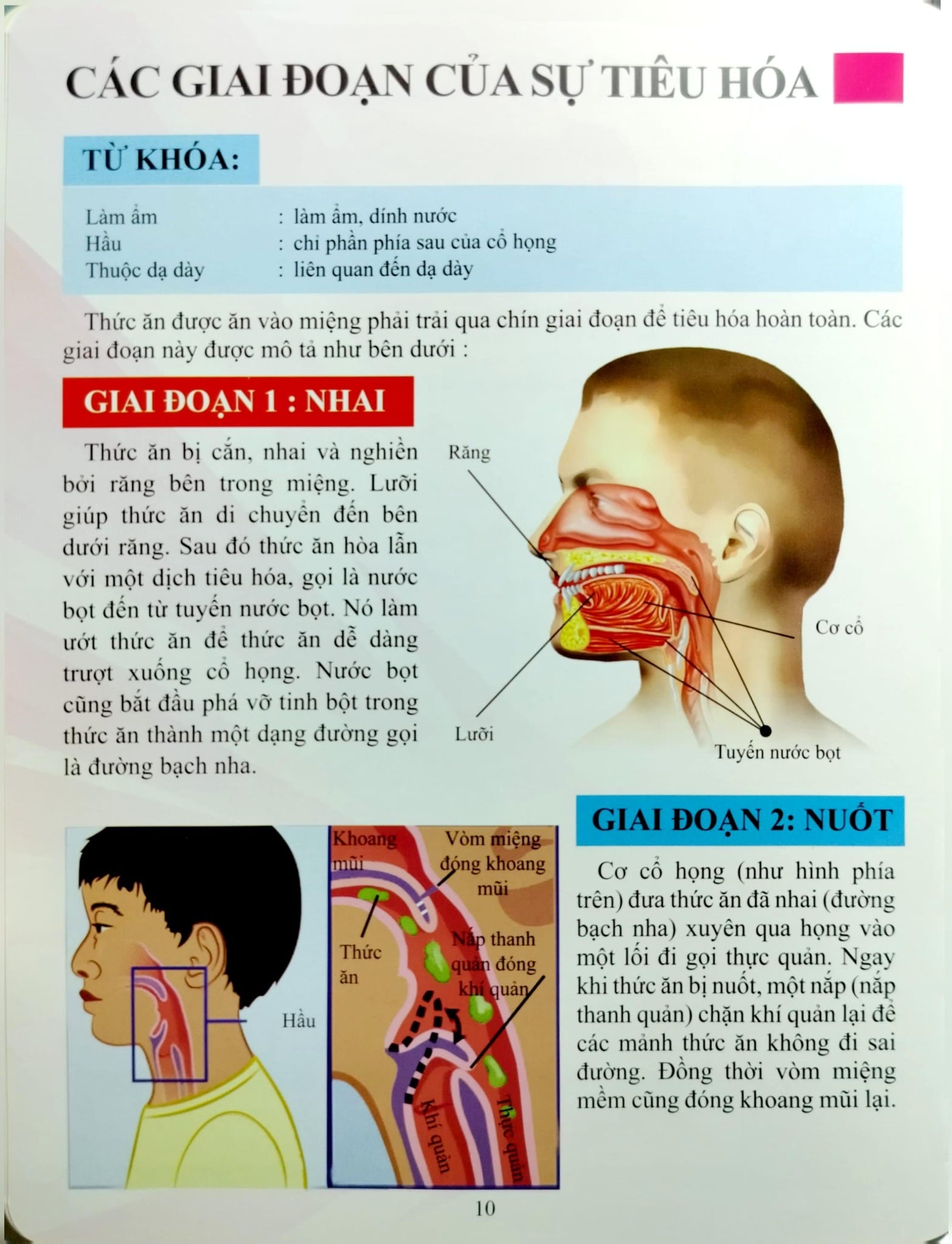 Cơ Thể Của Tôi Hoạt Động Như Thế Nào Hệ Tiêu Hóa - T.R.Bhanot