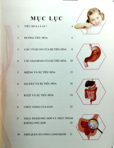  Combo 16 Cuốn Cơ Thể Của Tôi Hoạt Động Như Thế Nào ? 