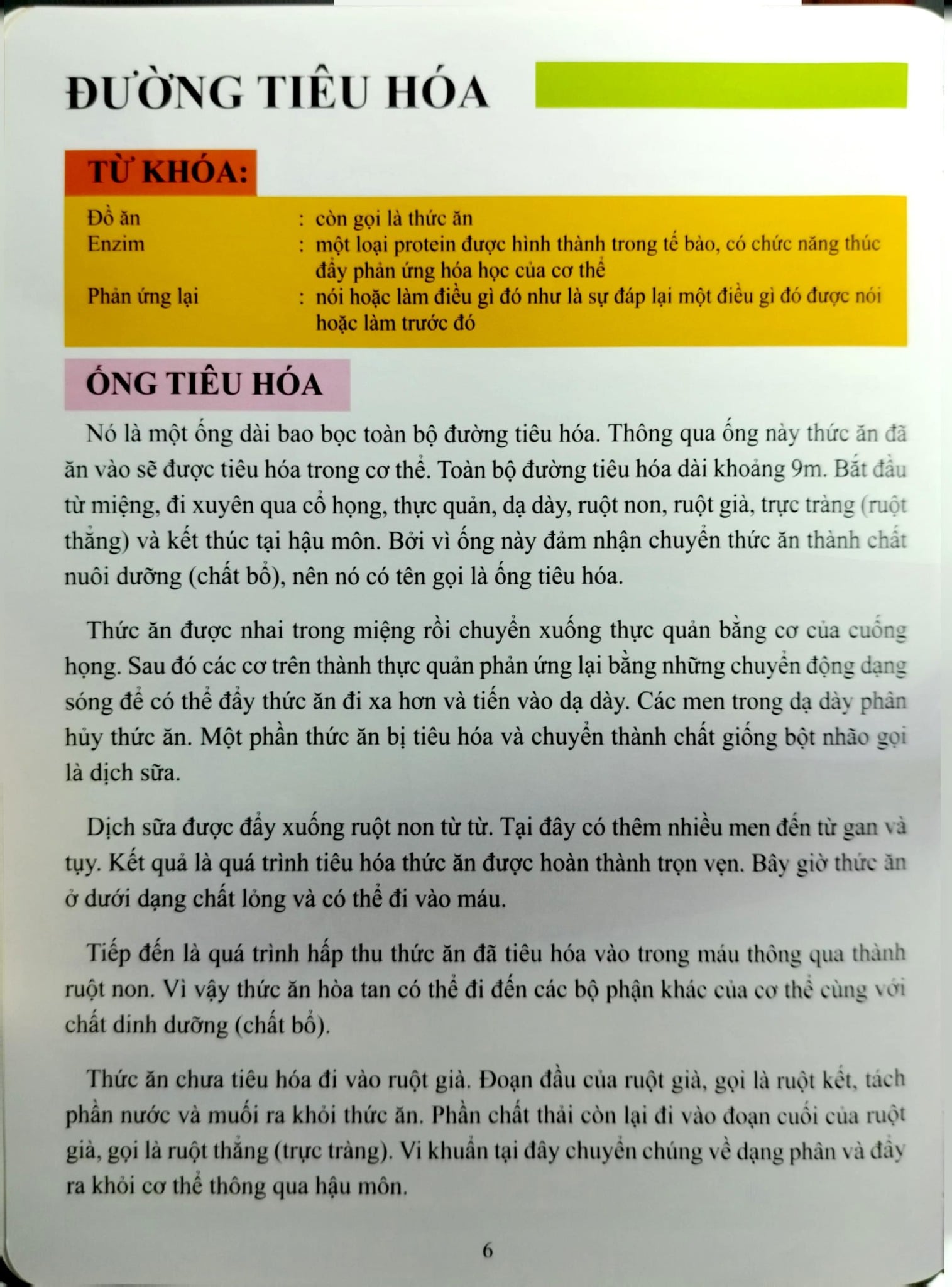 Cơ Thể Của Tôi Hoạt Động Như Thế Nào Hệ Tiêu Hóa - T.R.Bhanot