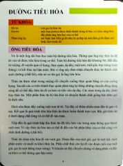 Cơ Thể Của Tôi Hoạt Động Như Thế Nào Hệ Tiêu Hóa - T.R.Bhanot