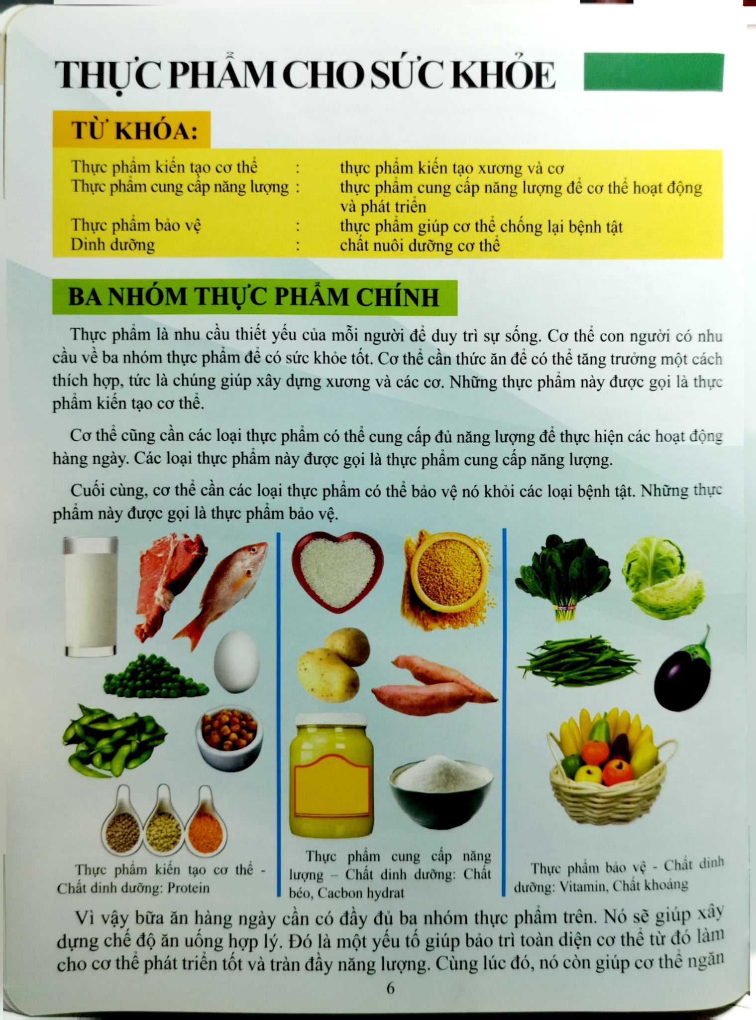Combo 2 Cuốn Cơ Thể Của Tôi Hoạt Động Như Thế Nào ( Sức Khỏe Tốt + Chăm Sóc Cơ Thể )