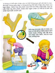 Kiến Thức Và Kỹ Năng Dành Cho Học Sinh - Thể Dục, Vui Chơi, Nghỉ Ngơi, Ăn Uống - Dreamland