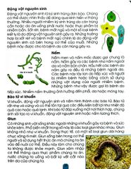 Kiến Thức Và Kỹ Năng Dành Cho Học Sinh - An Toàn Ở Nhà, Ra Đường, Trong Trường - Dreamland