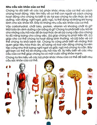  Combo 6 Cuốn Kiến Thức Và Kỹ Năng Dành Cho Học Sinh ( Chăm Sóc Sức Khỏe + Sức Khỏe Và Bệnh Thường Gặp + Những Việc Cần Làm + Giữ Gìn Vệ Sinh + Thể Dục, Vui Chơi, Nghỉ Ngơi, Ăn Uống + An Toàn Ở Nhà, Ra Đường, Trong Trường ) 