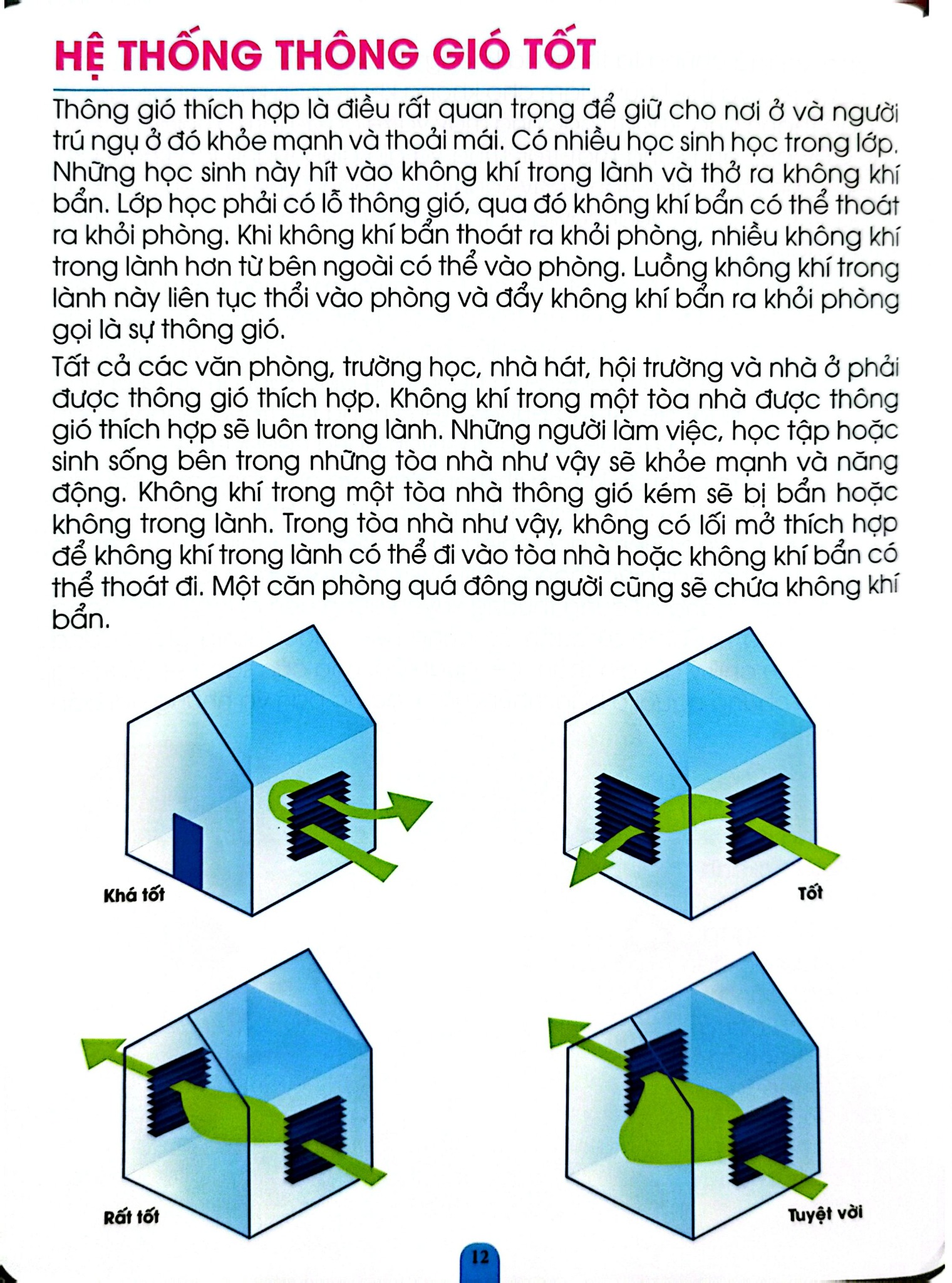 Kiến Thức Và Kỹ Năng Dành Cho Học Sinh - Sức Khỏe Và Bệnh Thường Gặp - Dreamland