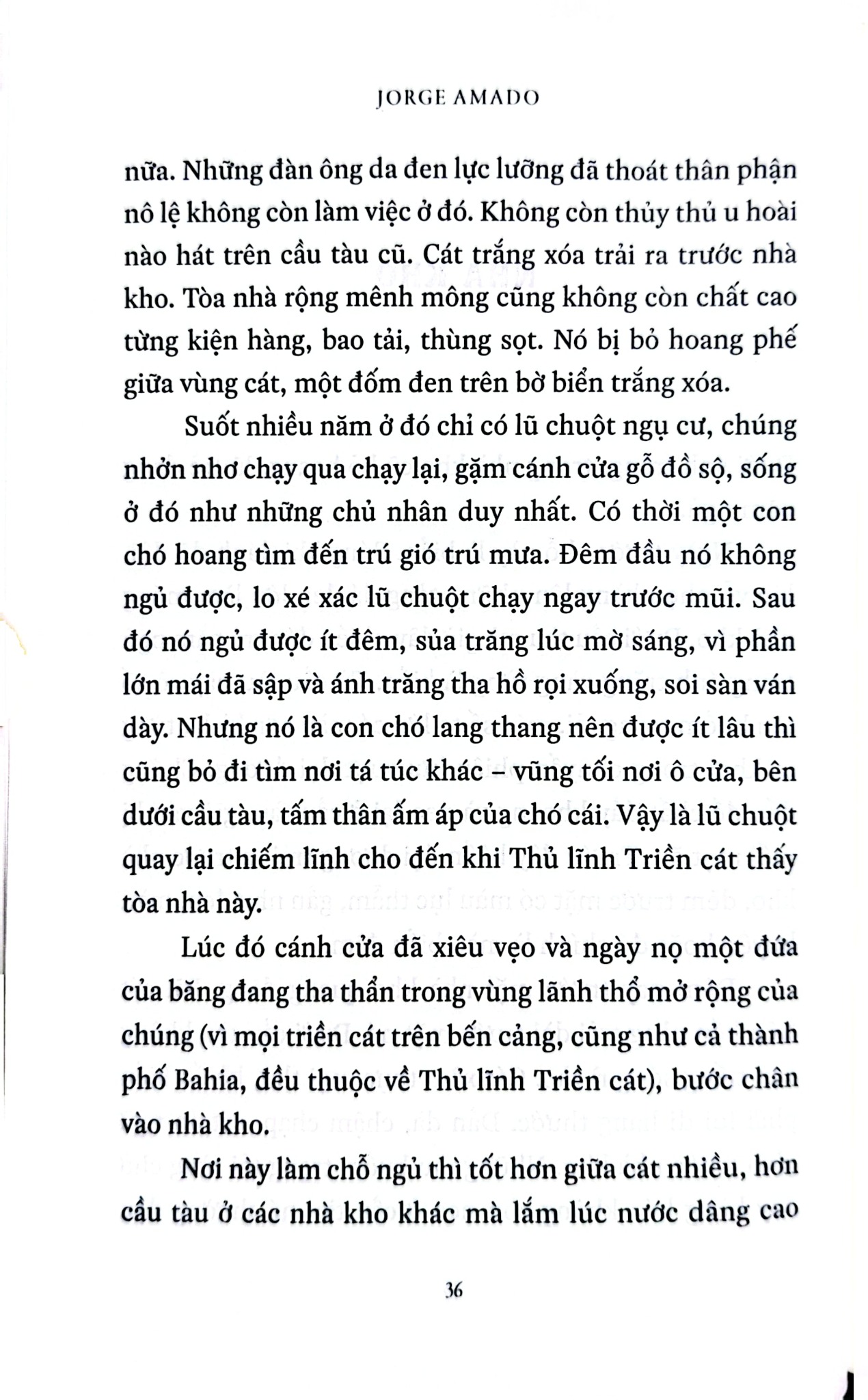 Những Thủ Lĩnh Triền Cát - 
Jorge Amado