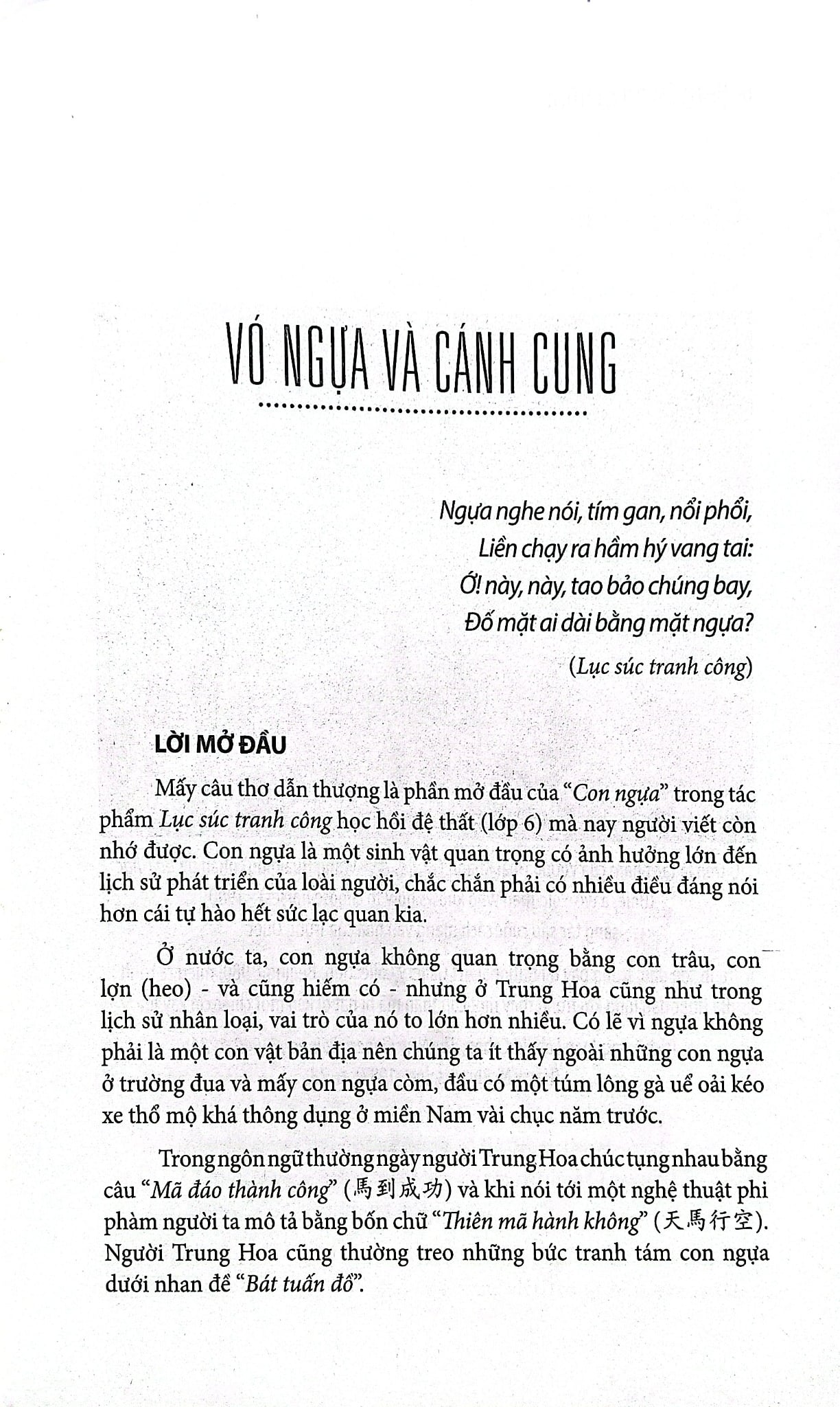 Vó Ngựa Và Cánh Cung  - Nguyễn Duy Chính