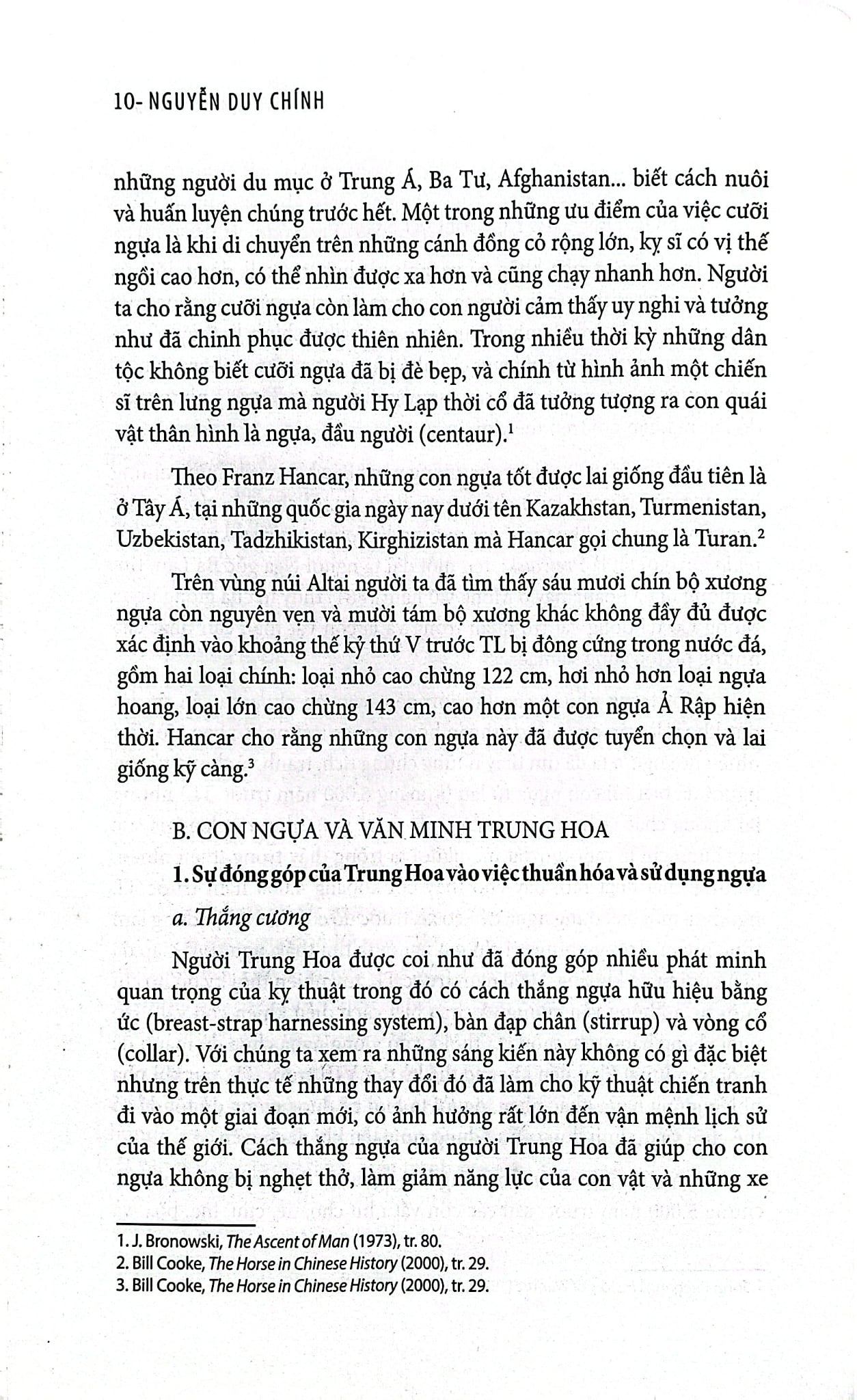 Vó Ngựa Và Cánh Cung  - Nguyễn Duy Chính