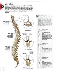 Khoa Học Về Yoga - Ann Swanson