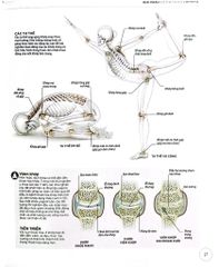 Khoa Học Về Yoga - Ann Swanson