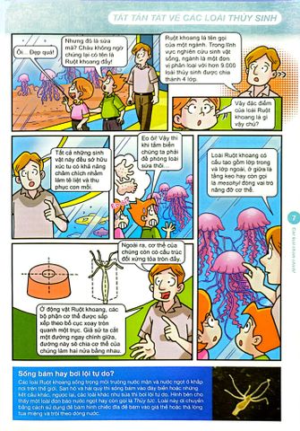  World Of Science (Set 2) - Những Bí Ẩn Về Động Vật Trên Cạn - Karen Kwek 