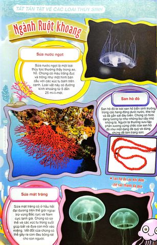  World Of Science (Set 2) - Những Bí Ẩn Về Động Vật Trên Cạn - Karen Kwek 