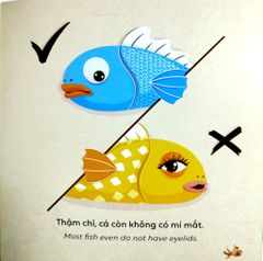 Kể Chuyện Khoa Học - Sci-Tales - Cá Có Ngủ Không? - Hoàng Anh Đức, Lộc Linh, Hồng An
