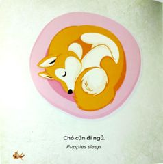 Kể Chuyện Khoa Học - Sci-Tales - Cá Có Ngủ Không? - Hoàng Anh Đức, Lộc Linh, Hồng An