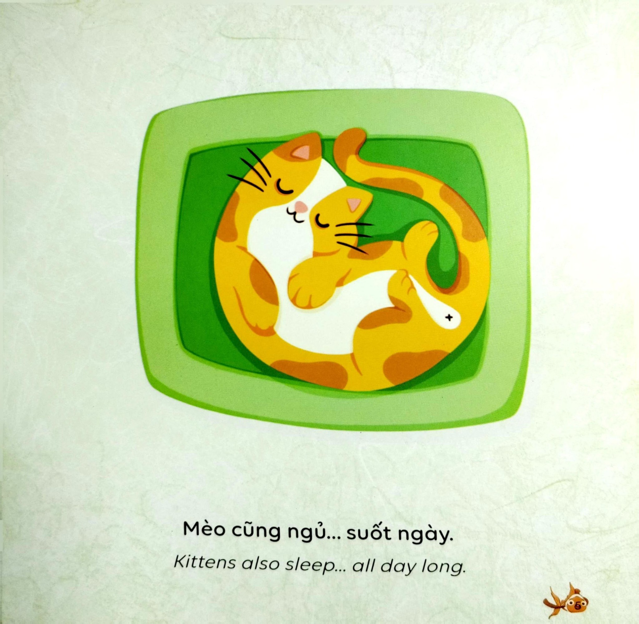 Kể Chuyện Khoa Học - Sci-Tales - Cá Có Ngủ Không? - Hoàng Anh Đức, Lộc Linh, Hồng An