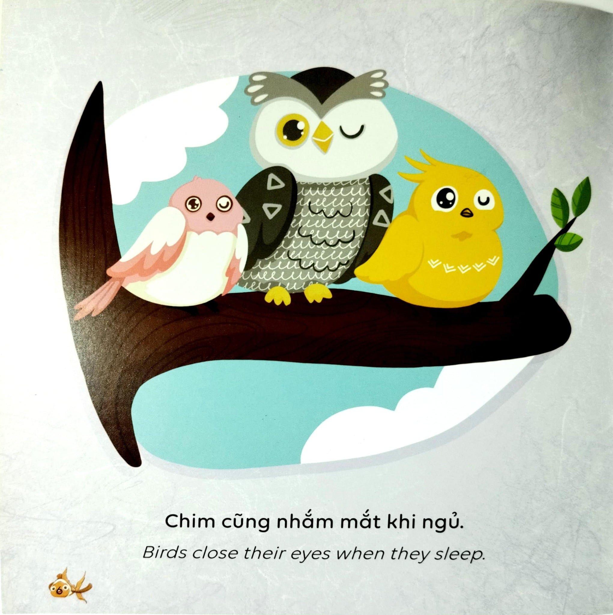 Kể Chuyện Khoa Học - Sci-Tales - Cá Có Ngủ Không? - Hoàng Anh Đức, Lộc Linh, Hồng An