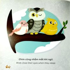 Kể Chuyện Khoa Học - Sci-Tales - Cá Có Ngủ Không? - Hoàng Anh Đức, Lộc Linh, Hồng An