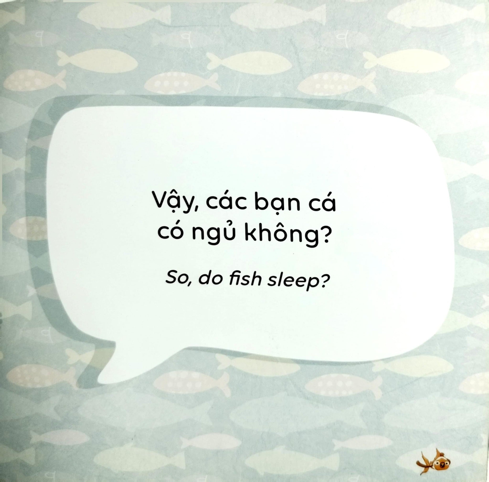 Kể Chuyện Khoa Học - Sci-Tales - Cá Có Ngủ Không? - Hoàng Anh Đức, Lộc Linh, Hồng An
