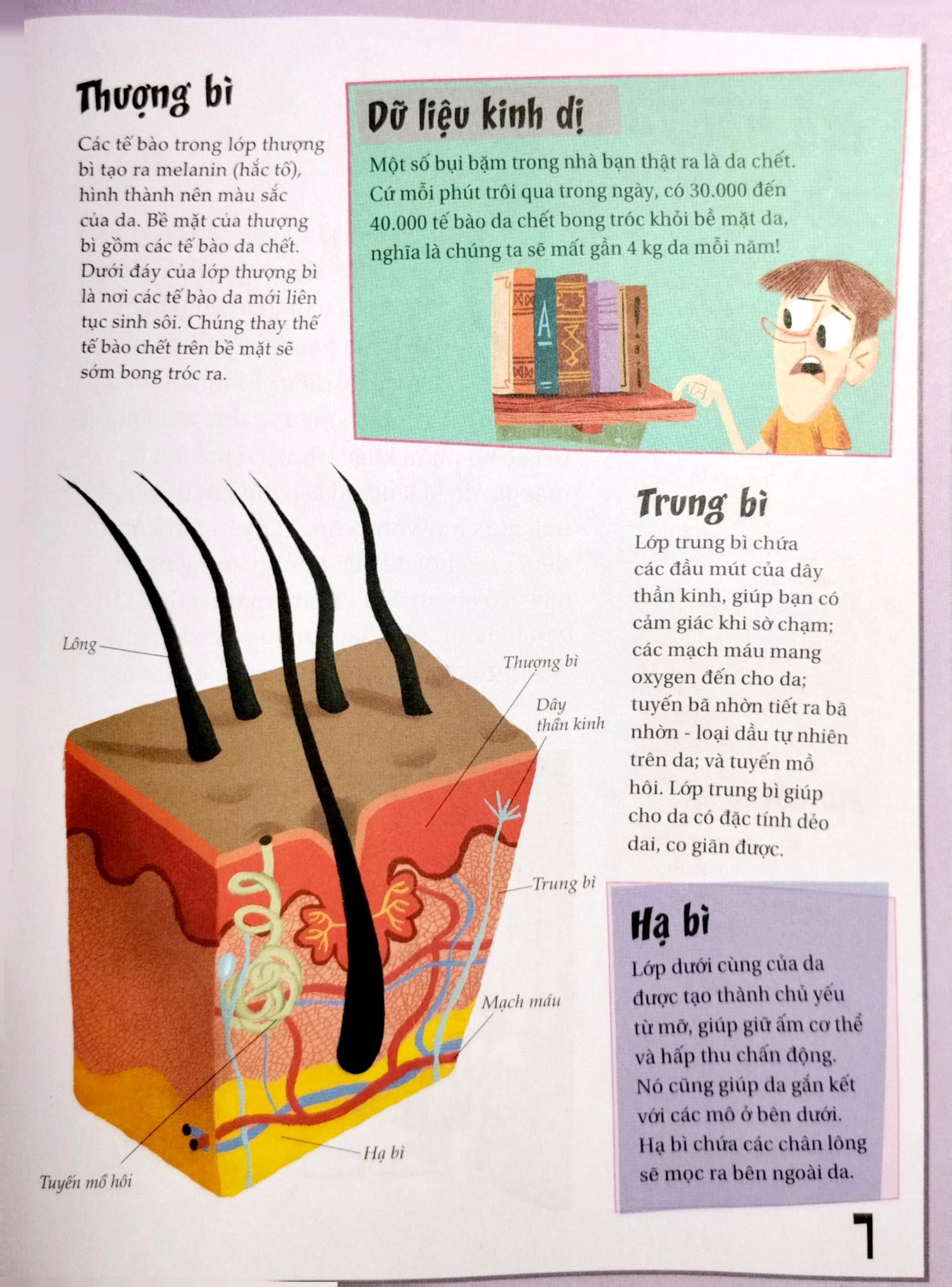 Khoa Học Diệu Kì: Mụn Trứng Cá Và Mụn Cóc - Sự Thật Ngứa Ngáy Về Da - Nhiều Tác Giả