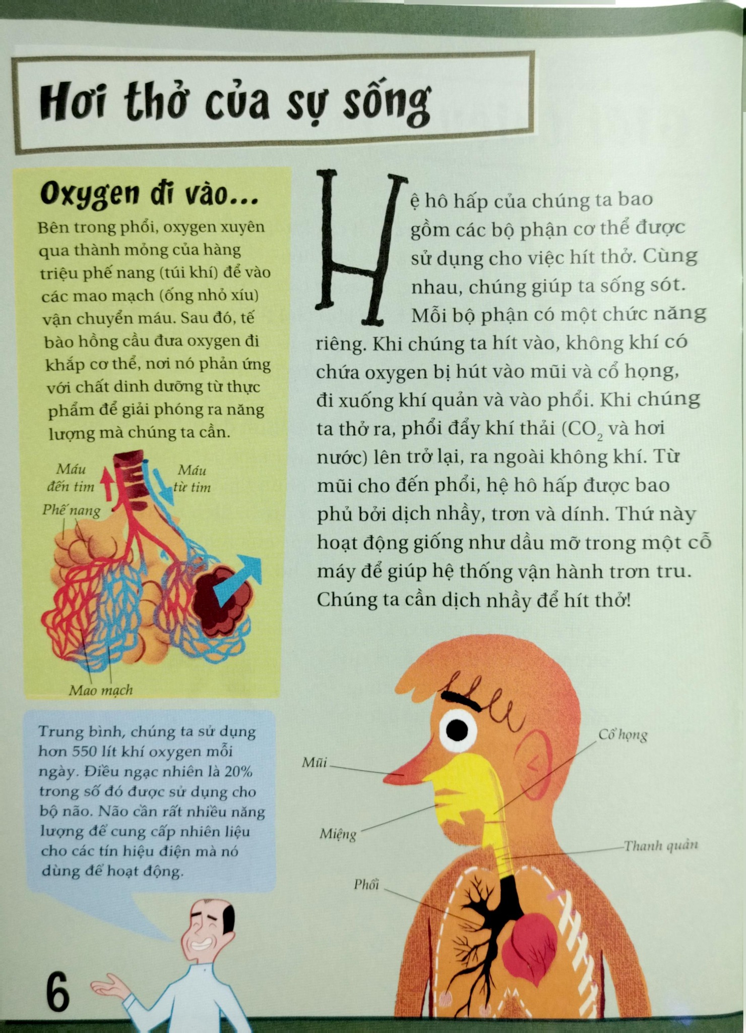 Khoa Học Diệu Kì: Nước Mũi Và Đờm Dãi - Sự Thật Nhầy Nhụa Về Việc Hít Thở - Nhiều Tác Giả