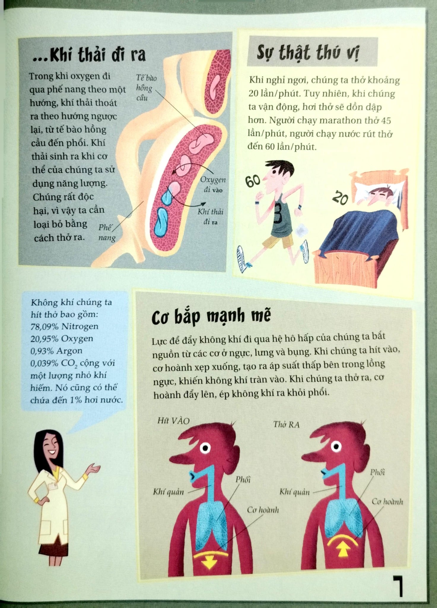 Khoa Học Diệu Kì: Nước Mũi Và Đờm Dãi - Sự Thật Nhầy Nhụa Về Việc Hít Thở - Nhiều Tác Giả