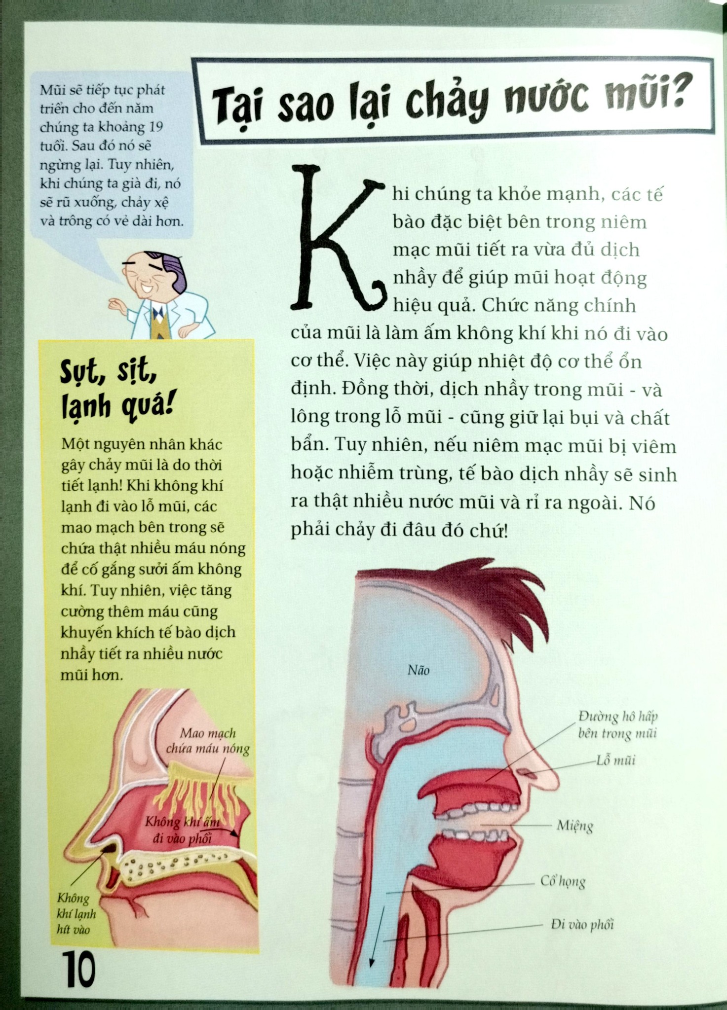 Khoa Học Diệu Kì: Nước Mũi Và Đờm Dãi - Sự Thật Nhầy Nhụa Về Việc Hít Thở - Nhiều Tác Giả